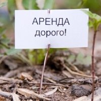 Дорогая аренда и рост тарифов на электричество в Петрозаводске отпугивают инвесторов
