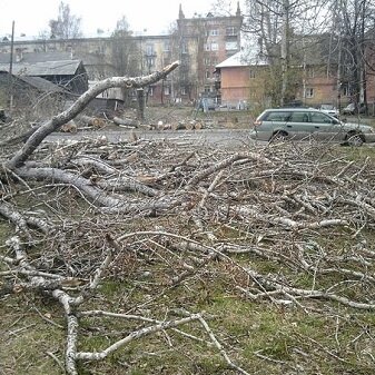 Коммунальщики спилили деревья и не убрали мусор