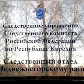 Против жителя Карелии возбуждено уголовное дело за оскорбление судьи в Интернете