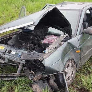 В Прионежском районе «Лада» врезалась в столб