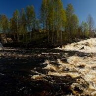 Энергетики ТГК-1 в Карелии подвели экологические итоги года