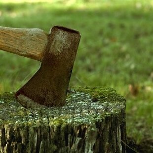 Деревья на Анохина снесут из-за замены теплотрассы
