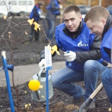 Энергетики продолжают благоустройство аллеи имени 300-летия Петрозаводска