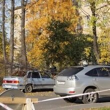 Спиленное дерево упало на автомобиль, чуть не покалечив школьников