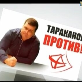 Новый проект ТНТ-Онего «Тараканов против»