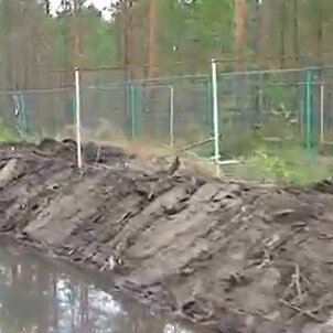 Карельские леса отгораживают от людей глухими заборами