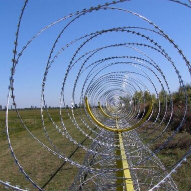 Дорогу в Европу через карельскую границу житель Ирана прокладывал «кусачками»
