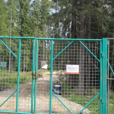 У предпринимателей и властей Сортавалы потребуют снести заборы в лесу