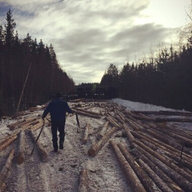 В КАРЕЛИИ ПЕРЕВЕРНУЛСЯ ЛЕСОВОЗ